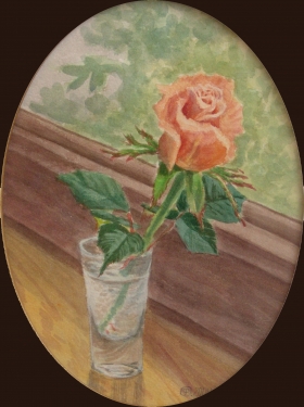 Роза на окне
